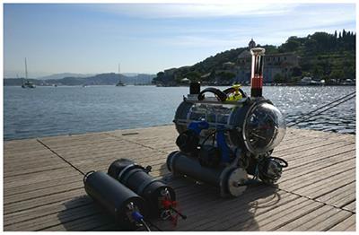 Underwater Robotics Competitions: The European Robotics League Emergency Robots Experience With FeelHippo AUV